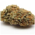 Шишки AK47 (Гидропоника, Бошка) VHQ в Заринске Шишки AK47 (Гидропоника, Бошка) VHQ в Заринске